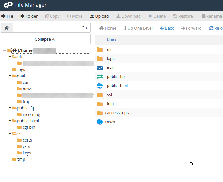 File Manager cPanel